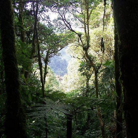 Penzion Reserva Natural Cerro Alto Empalme Exteriér fotografie