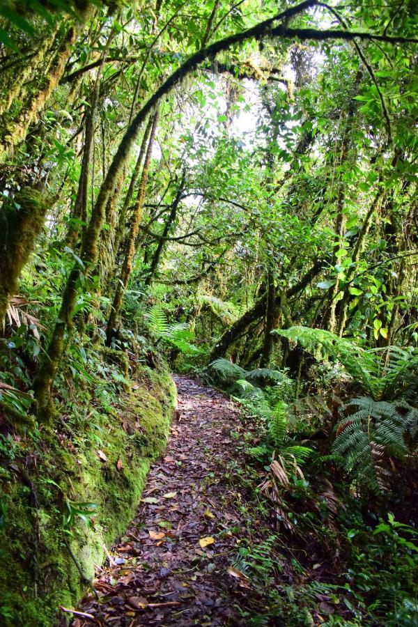 Penzion Reserva Natural Cerro Alto Empalme Exteriér fotografie