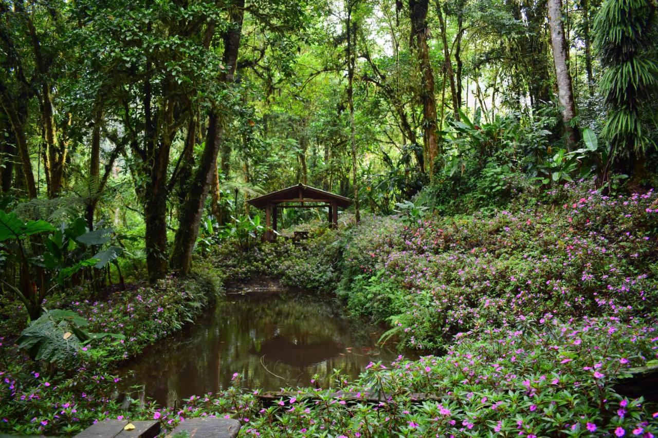 Penzion Reserva Natural Cerro Alto Empalme Exteriér fotografie