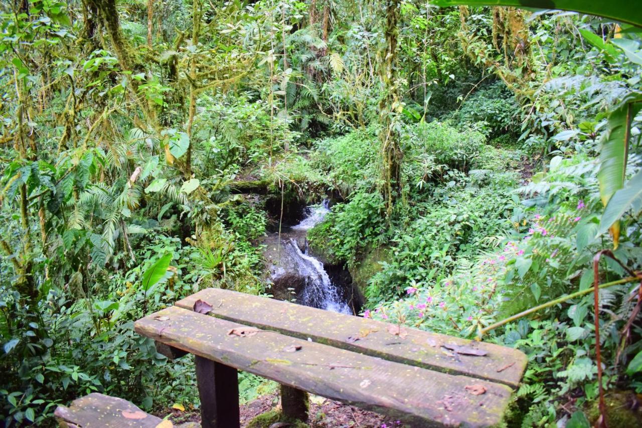 Penzion Reserva Natural Cerro Alto Empalme Exteriér fotografie