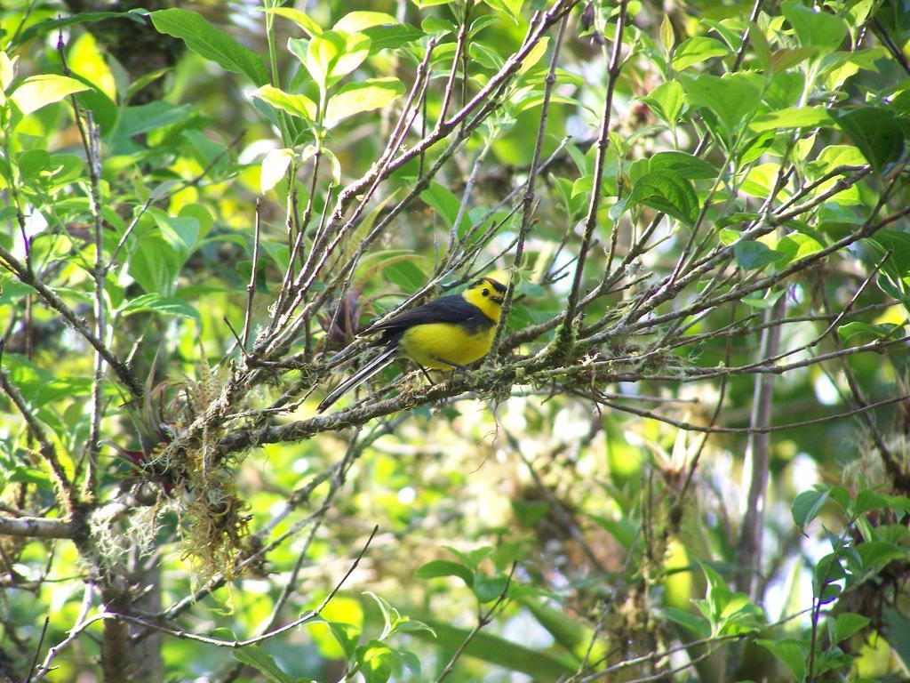 Penzion Reserva Natural Cerro Alto Empalme Exteriér fotografie