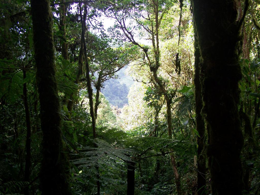 Reserva Natural Cerro Alto Empalme Exteriér fotografie