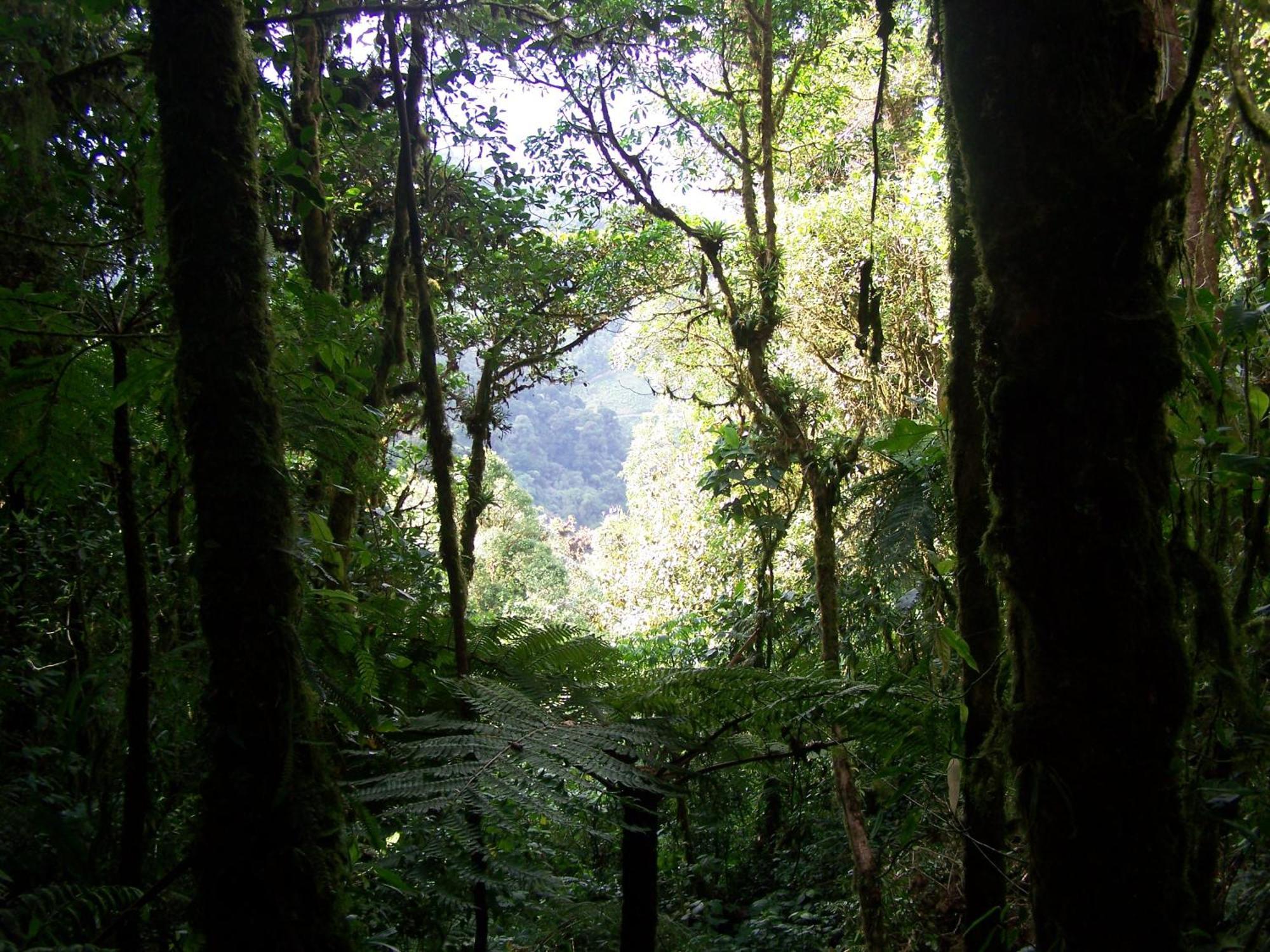 Penzion Reserva Natural Cerro Alto Empalme Exteriér fotografie