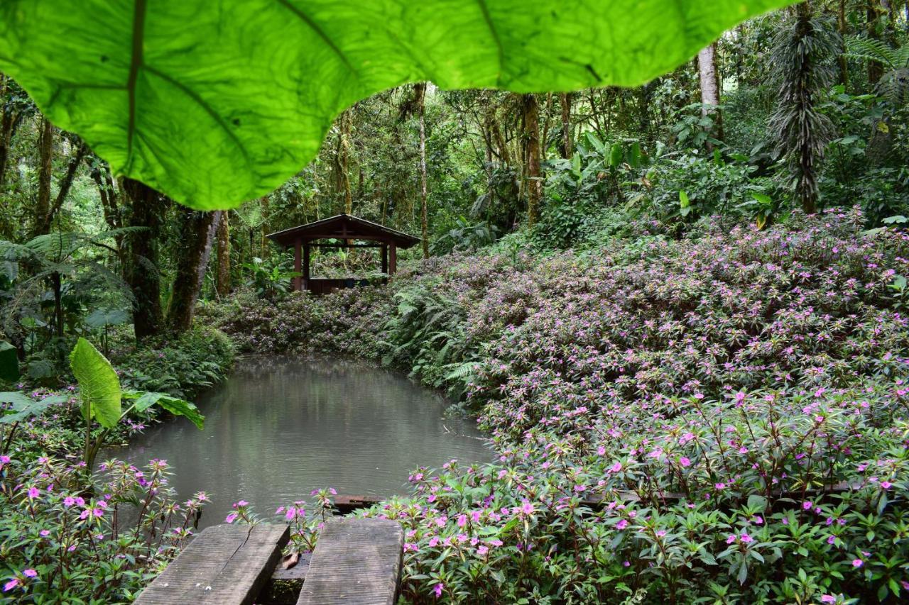 Penzion Reserva Natural Cerro Alto Empalme Exteriér fotografie