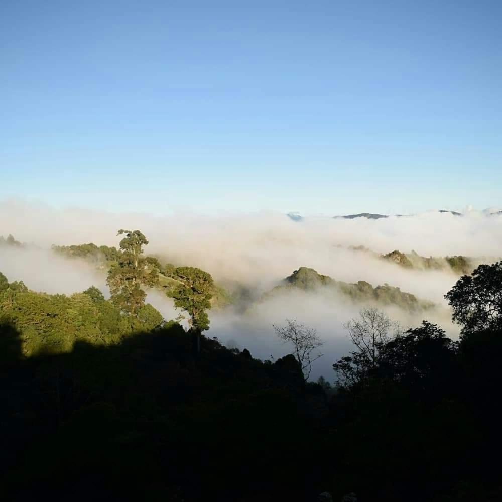 Penzion Reserva Natural Cerro Alto Empalme Exteriér fotografie